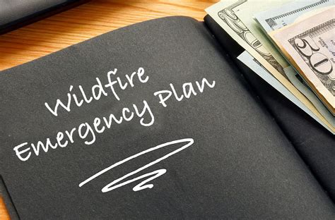 Learn About Disaster Relief Options For The 2020 Wildfires Rowling And Associates