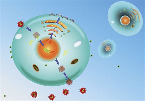 20 Astounding Facts About Viral Replication - Facts.net