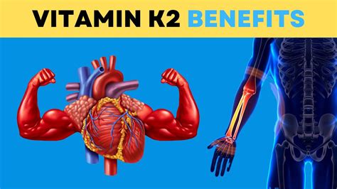 The Amazing Health Benefits Of Vitamin K2 Why You Need This Vitamin