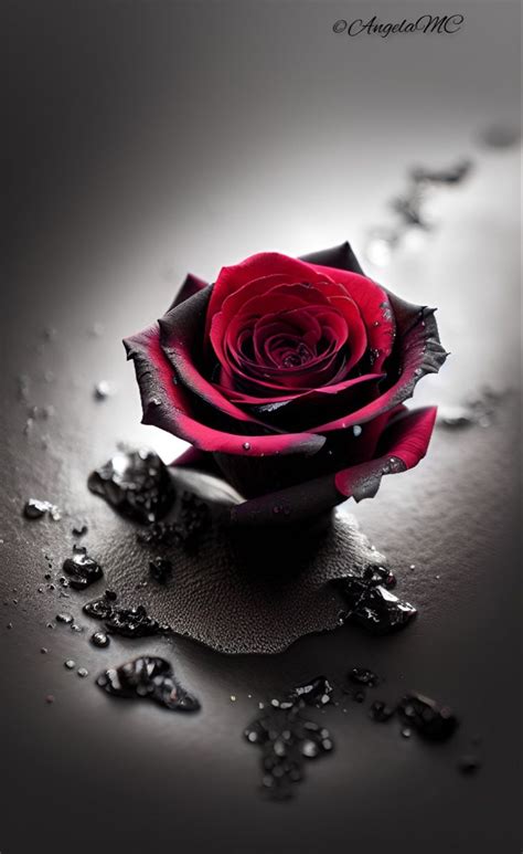 A Single Red Rose Sitting On Top Of A Table Covered In Drops Of Water