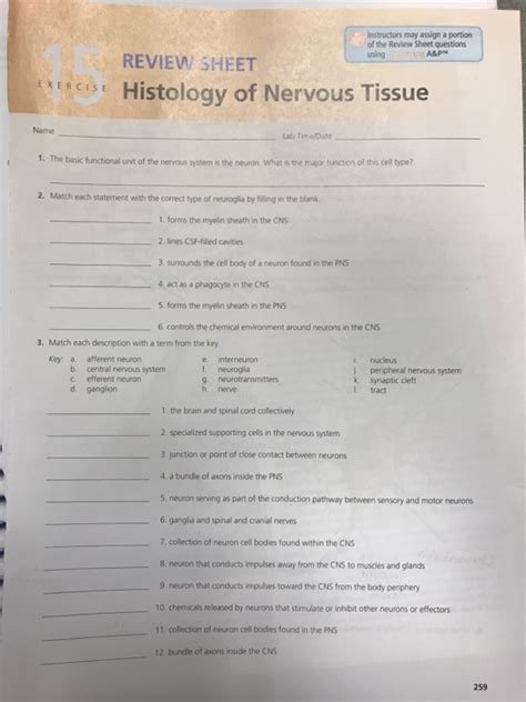 Solved Histology Of Review Sheet Neuron Anatomy Chegg