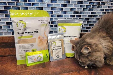 Unbiased Raw Meow Cat Food Review Cats