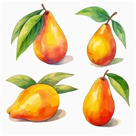 Watercolor Painting Of A Mango Premium AI Generated Vector