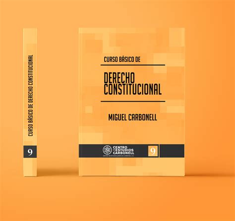 Curso B Sico De Derecho Constitucional