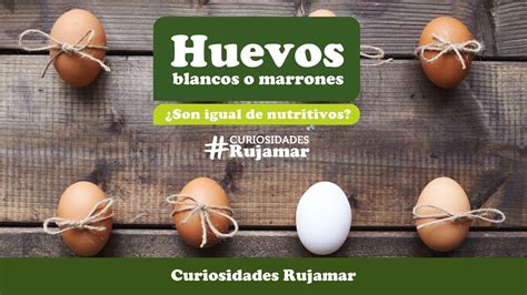 Huevos blancos o marrones Cuál es más nutritivo Grupo Avícola Rujamar