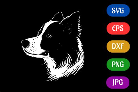 Border Collie Silhouette Svg Eps Dxf Graphic By Creative Oasis