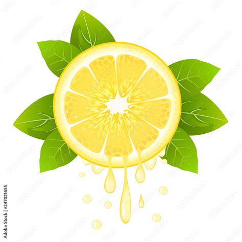 Realistic Lemon Slice With Leaves And Drops Of Juice Juicy Fruit