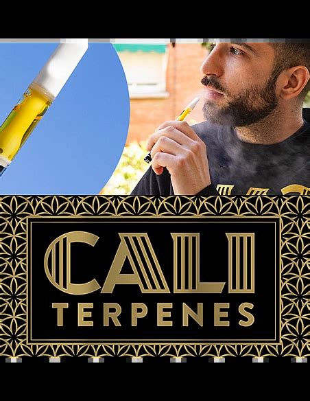 Cali Terpenes PACK CBD DESTILADO VAPE PEN GELATO Hannapy