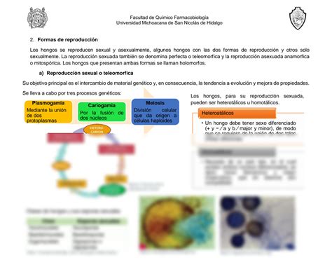 SOLUTION Actividad 3 Caracter Sticas Generales De Los Hongos Studypool