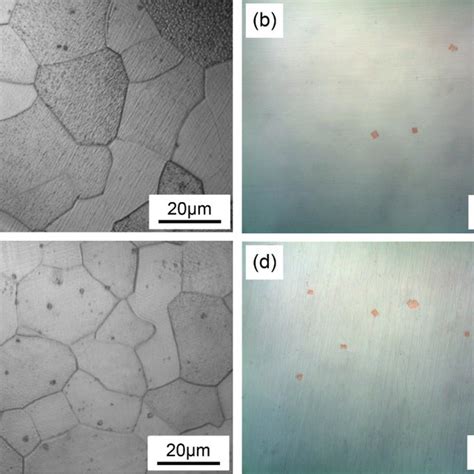 Optical Micrographs Of The Microstructure And Precipitates In The