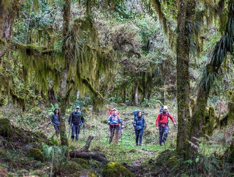 Parque Nacional Aconquija La Joya Verde De Tucum N Weekend