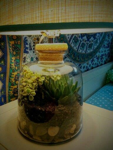 Another pic of my succulent terrarium :) Layers: Succulents (3) Cactus soil Activated charcoal ...