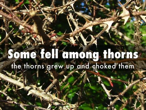 Luke 8 7 14 NKJV 7 And Some Fell Among Thorns And The Thorns Sprang