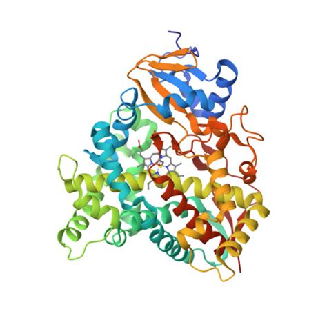 RCSB PDB 8SBI Crystal Structure Of Human Sterol 14 Alpha Demethylase