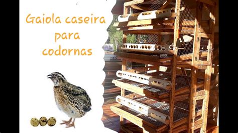 Gaiola Caseira Para Codornas YouTube