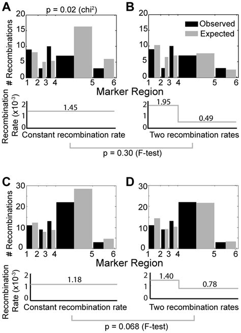 Hiv Recombination Varies Across Genome An Optimal Recombination Rate