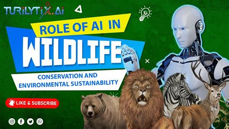 Role Of AI In Wildlife Conservation And Environmental Sustainability