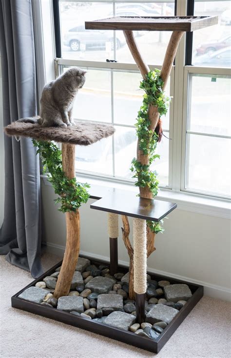 Haz Un Increíble árbol Rascador Para Gatos Con Ramas De árbol Diy