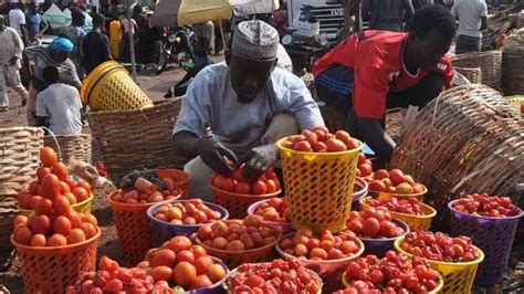 Perishable Goods See Significant Price Drop In Yobe Borno And Adamawa