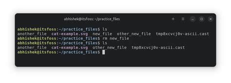 Terminal Basics Delete Files And Folders In Linux Linux Consultant