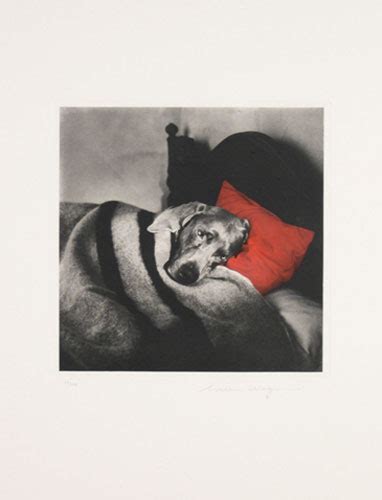 William Wegman Art for Sale