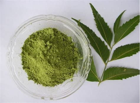 Neem Leaves Powder Manufacturer, Supplier from Jaipur