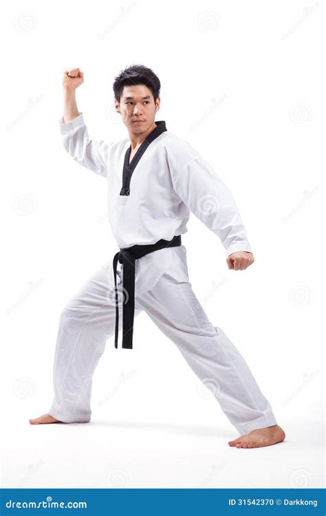 Taekwondo action stock photo. Image of fighting, kicking - 31542370