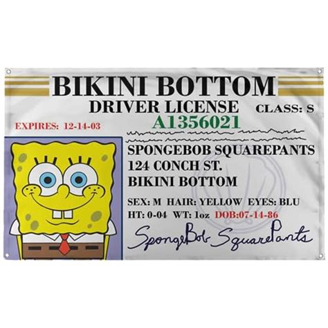 I Tested The New Bikini Bottom Drivers License And Heres Why Its A Game Changer