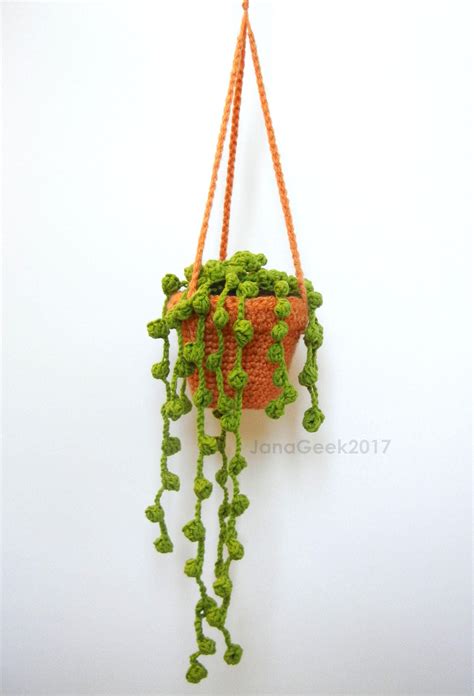 Crochet Succulent String Of Pearls Etsy