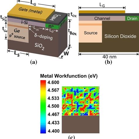 A A D Schematic And B A Cross Sectional View Of The Simulated