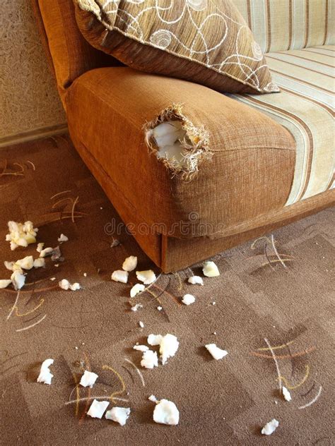 Damaged Sofa Stock Photo Image Of Plastic Brown Chaos 17300612