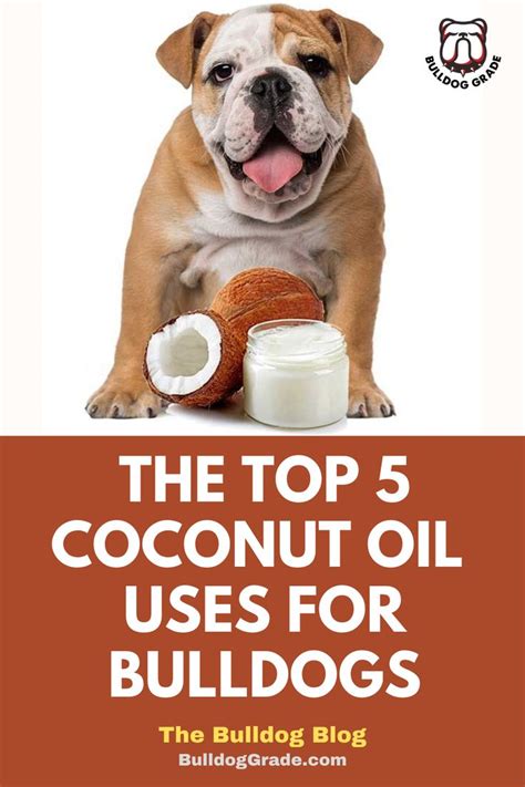 Homemade Coconut Oil Apply Coconut Oil Coconut Oil For Dogs Pure