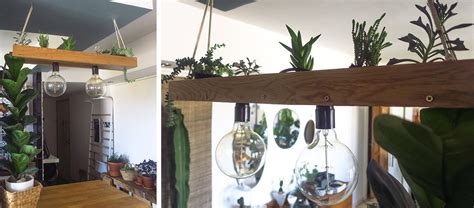 Diy En Luminaire Et Suspension V G Tale Avec Des Plantes Grasses