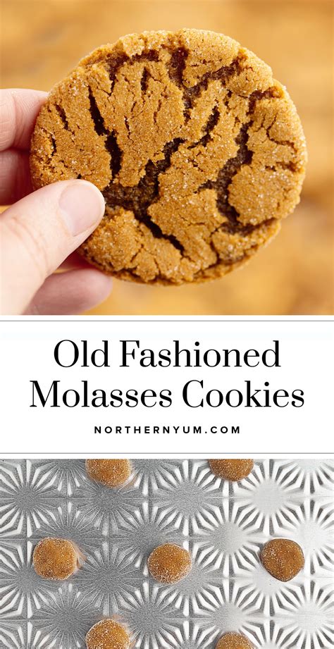 The Best Old Fashioned Molasses Sugar Cookies Artofit