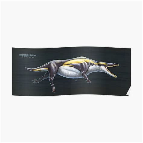 Rodhocetus Kasrani Restored Poster By Thedragonofdoom Redbubble