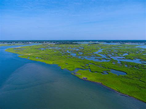 North Carolina Marsh Stock Photos Pictures And Royalty Free Images Istock