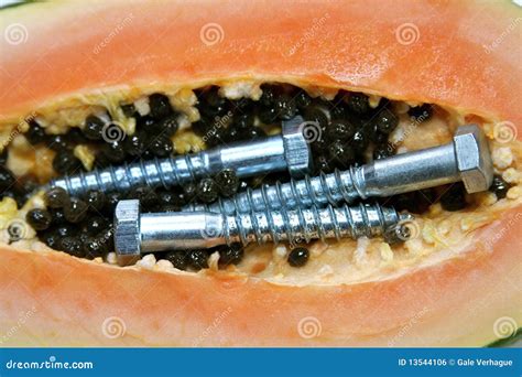 GMO Papaya stock photo. Image of bolts, opposition, green - 13544106