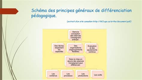 Différenciation Pédagogique Exemples