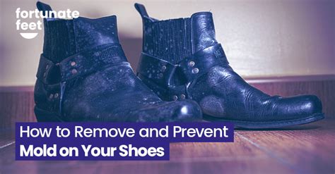 How To Remove And Prevent Mold On Your Shoes Fortunate Feet