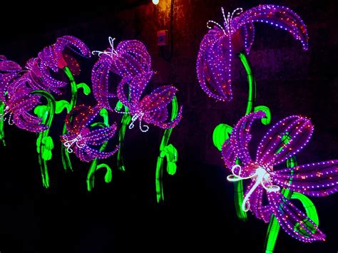 Longleat Festival of Light | Alice in Wonderland