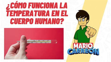 Cómo funciona la temperatura en el cuerpo humano YouTube