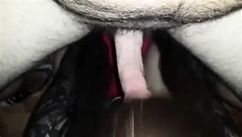 Breedingvirgins Sz Free Gay Amateur HD Porn Video B XHamster