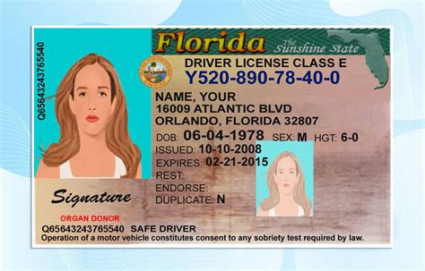 Free Editable Florida Drivers License Template