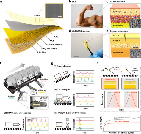 Ultra Stable And Tough Bioinspired Crack Based Tactile Sensor For Small