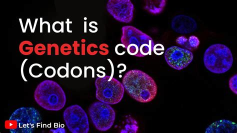 What Is Genetics Code Codons Basic Informations Biology Youtube