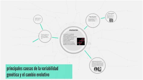 Principales Causas De La Variabilidad Genética Y El Cambio E By Alexis