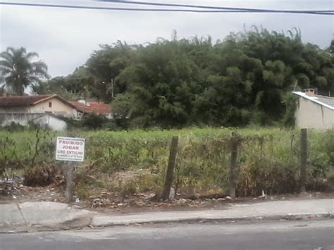 Walter Magui Em Foco Moradores Pedem Limpeza De Terreno Baldio