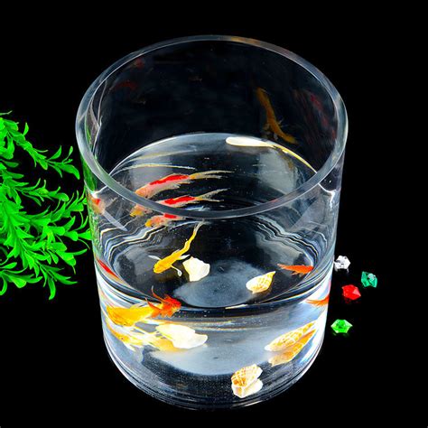 China Round Transparent Acrylic Fish Tank Cylinder Wholesale China