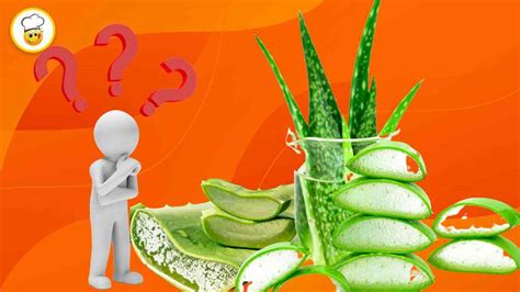 Aloe Vera Perch Dovremmo Averla In Casa Non Come Pensi