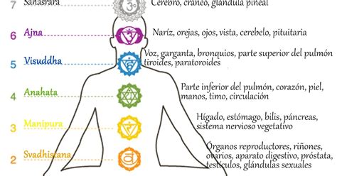 Todo Sobre Los Chakras